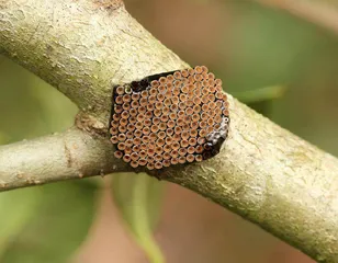 生物摄影1