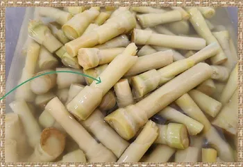 甘蔗传奇5