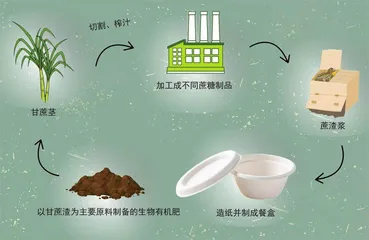 甘蔗传奇8