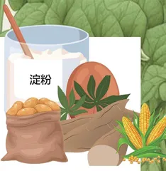 抗性淀粉为健康加分3