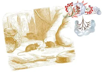 等一只老鼠老死