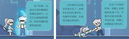 你的眼睛,到底有多脆弱3