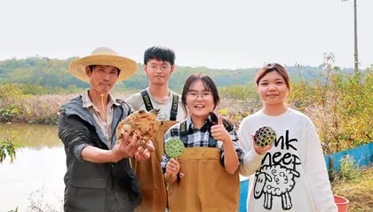 柴语心： 莲养水、水养鱼、鱼养鳖、鳖养人1