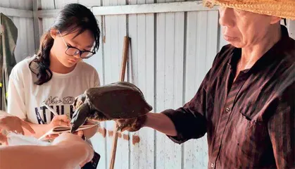 柴语心： 莲养水、水养鱼、鱼养鳖、鳖养人2