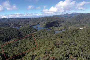 在传说中的“生命禁区”哀牢山工作……2