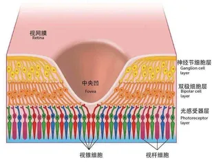 电影院多是红色座椅,竟因为……2
