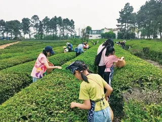 改革进行时4