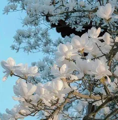 请查收！春天写给你的信