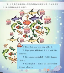 Sea Animals海洋动物大发现