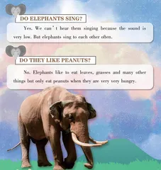 Fun Elephant Facts关于大象的有趣事实
