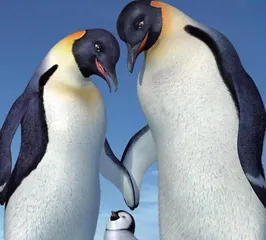 The Penguins Dance Again快乐的大脚再次舞动