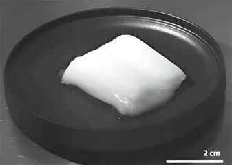 他们在实验室培养出整块鸡肉