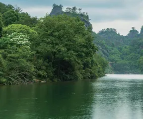 武夷山国家公园：摸清生物“家底” 揭开物种新篇