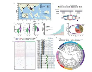 科学家破解野生稻遗传多样性密码