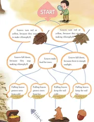 The Secret of Falling Leaves落叶的秘密