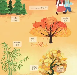 Walking in the Autumn Forest秋日，漫步林间