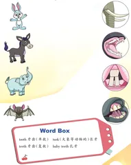 Whose Teeth?谁的牙齿？