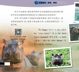 Hippos Can’t Swim?河马不会游泳？