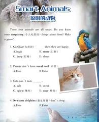 Smart Animals聪明的动物