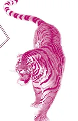 Wild Tigers Return to China