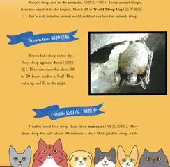 Super Animal Sleepers动物睡觉趣事多