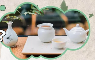 Who Is Tea Doctor?谁是“茶博士”？