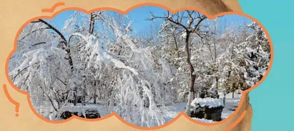Deserts: How Much Do You Know?荒漠知多少