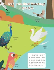 Let’s Go Bird Watching!一起去观鸟