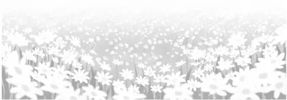 培养中学生法律素养的策略研究1