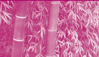 Bamboo in Chinese Culture 　中国文化里的竹子