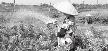 World Water Day世界水日