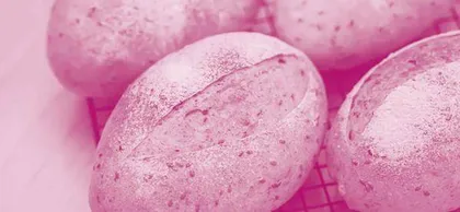 　Six Types of Breads That Are Healthy 　6种有益于身体健康的面包