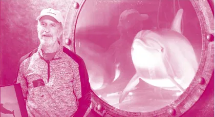 Robotic Dolphins 机器海豚