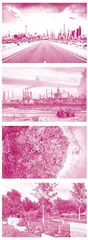 Could Miniature Forests Help Air-condition Cities? 微型森林会有助于调节城市的空气吗？