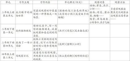 校园生活情境助力第二学段学生观察表达力提升的路径探索