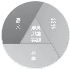 跨学科视域下整本书阅读的实践探索 