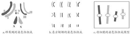 高中生物学双维建模教学模式的构建及实施2