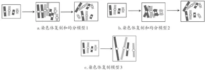 高中生物学双维建模教学模式的构建及实施5