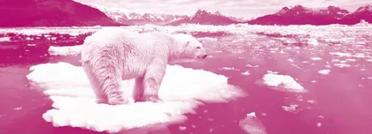 Half of Earth’s Glaciers Could Disappear by 2100全球半数冰川或将在2100年之前消失