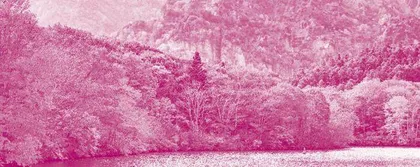 Climate Change Is Making Autumn   Leaves Change Color Earlier  气候变暖导致秋天树叶提前变色