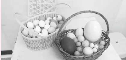 World Egg Day世界蛋品日