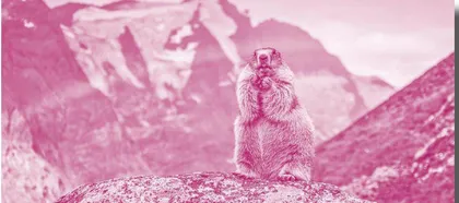 Are You Stuck in a Groundhog Day?你被困在“土拨鼠日”了吗？