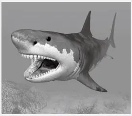 Some Facts That May Surprise You about Sharks  一些有关鲨鱼的冷知识