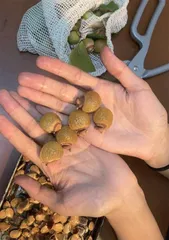 普通女孩苏一格,和15万人过“环保享乐”生活2