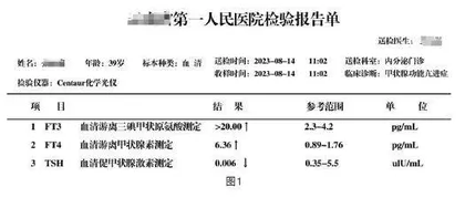 实验探究显素养 模型建构塑观念 