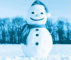 Why Do Snowmen Have Carrot Noses?为啥雪人的鼻子是胡萝卜?