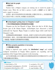 最新关注