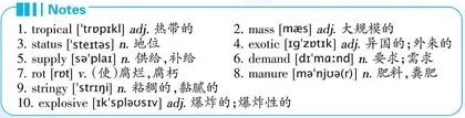 What Is the World’s Most Expensive Fruit?世界上最贵的水果是什么?
