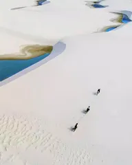 千湖沙漠:沙漠与湖泊的奇妙共存2