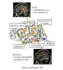 多看书能“长脑子”吗?1